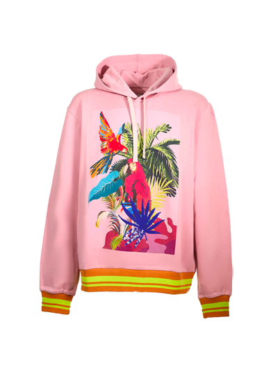 Shop Etro Sweatshirt With Boxy Hood In Rosa