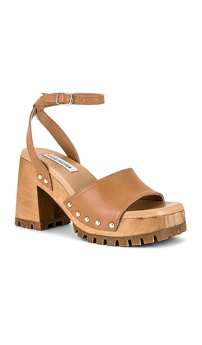 Shop Steve Madden Ocala Sandal In Tan