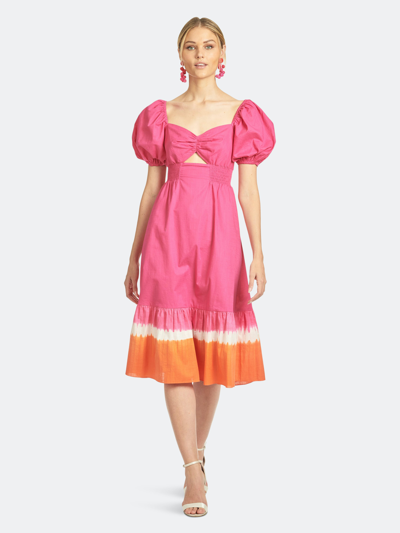 Shop Sachin & Babi Bri Dress In Pink