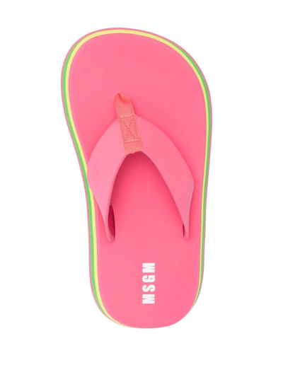 Shop Msgm Thong-strap Chunky Flip Flops In Pink