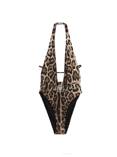 Shop Dolce & Gabbana One-piece Logo Swimsuit In Brown