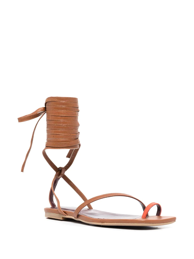 Staud Nicola Gladiator Sandal In Brown
