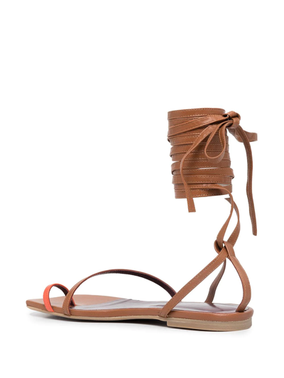 Staud Nicola Gladiator Sandal In Brown
