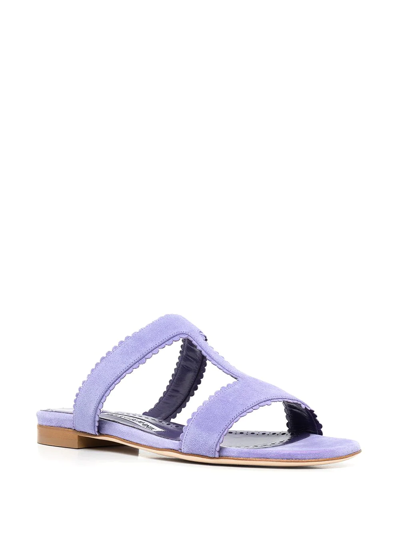 Manolo Blahnik Artas Scalloped Suede Sandals In Purple