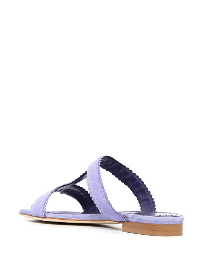 Manolo Blahnik Artas Scalloped Suede Sandals In Purple