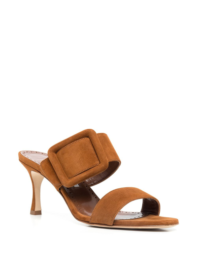 Manolo Blahnik Gable Suede-leather Buckled Sandals In Brown