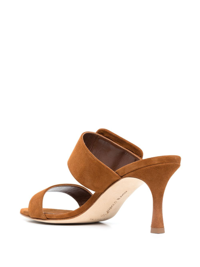 Manolo Blahnik Gable Suede-leather Buckled Sandals In Brown