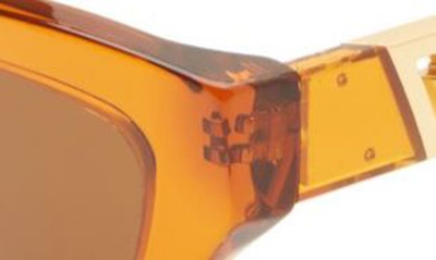 Shop Versace 52mm Cat Eye Sunglasses In Transparent Orange/dark Bronze