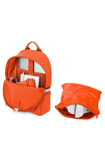 Shop Dagne Dover Medium Dakota Neoprene Backpack In Goji