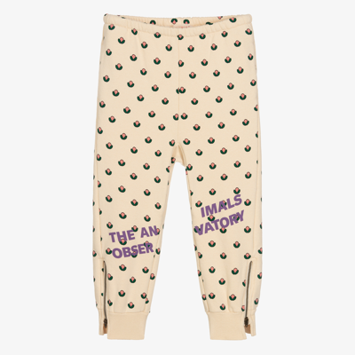 Shop The Animals Observatory Ivory Cotton Joggers