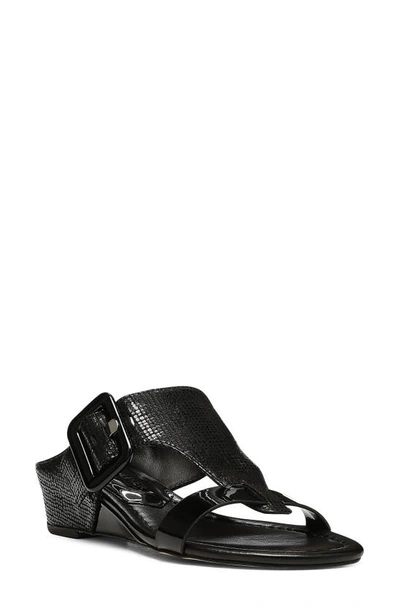 Shop Donald Pliner Ofelia Sandal In Black