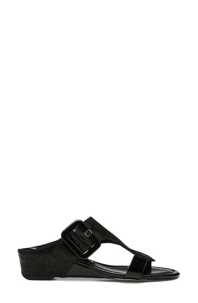 Shop Donald Pliner Ofelia Sandal In Black