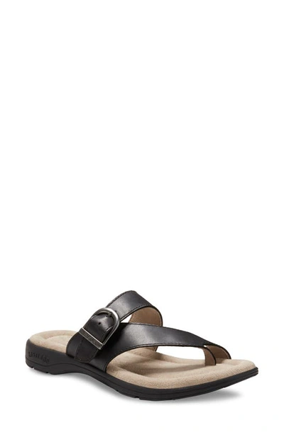 Eastland Tahiti Ii Buckled Sandal In Black
