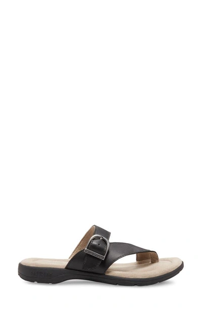 Eastland Tahiti Ii Buckled Sandal In Black