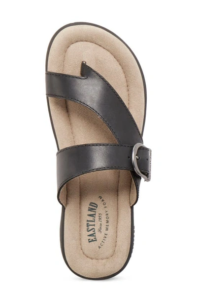 Eastland Tahiti Ii Buckled Sandal In Black