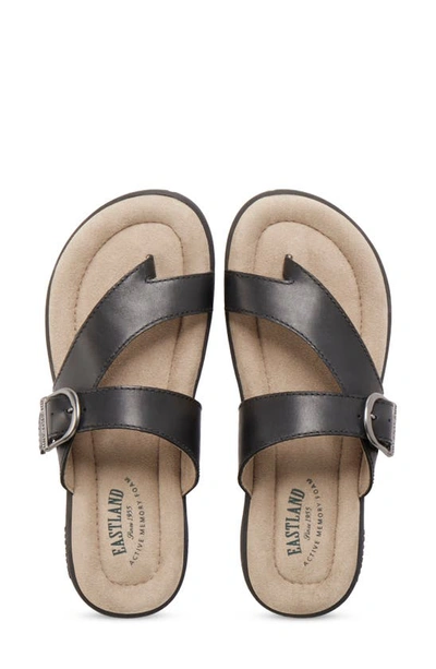 Eastland Tahiti Ii Buckled Sandal In Black