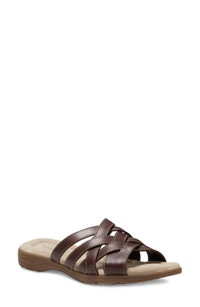 Eastland Hazel Woven Sandal In Brown