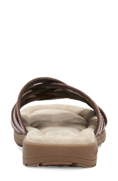 Eastland Hazel Woven Sandal In Brown