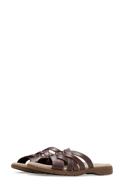 Eastland Hazel Woven Sandal In Brown