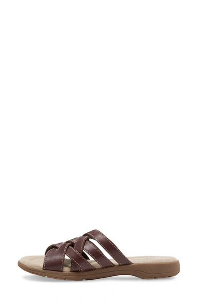 Eastland Hazel Woven Sandal In Brown