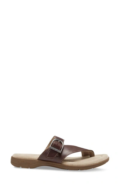 Eastland Tahiti Ii Buckled Sandal In Brown