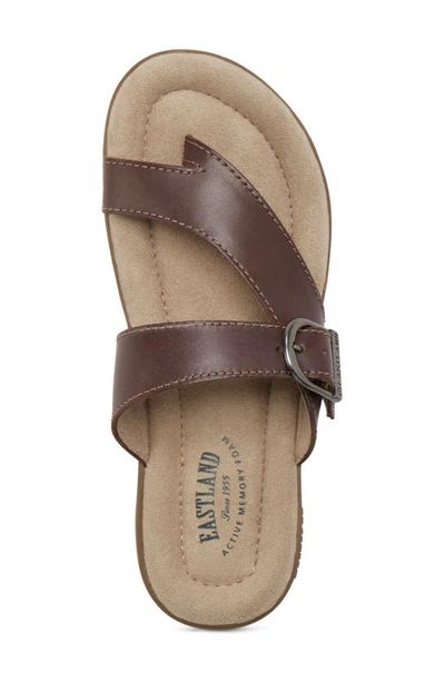 Eastland Tahiti Ii Buckled Sandal In Brown