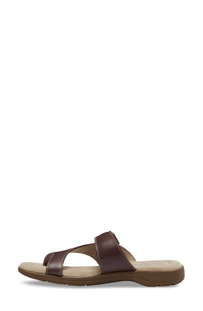 Eastland Tahiti Ii Buckled Sandal In Brown