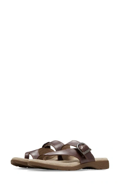 Eastland Tahiti Ii Buckled Sandal In Brown