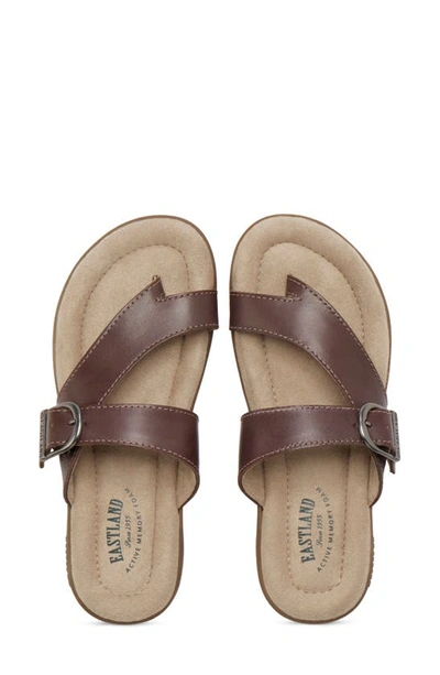 Eastland Tahiti Ii Buckled Sandal In Brown