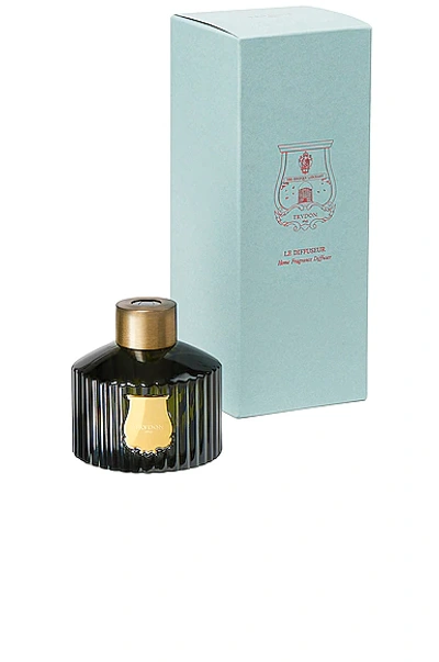 Trudon Home Diffuser In Cyrnos