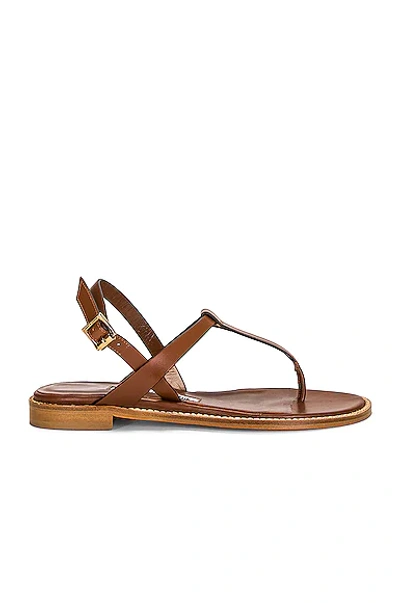 Shop Manolo Blahnik Leather Hata 10 Sandal In Brown