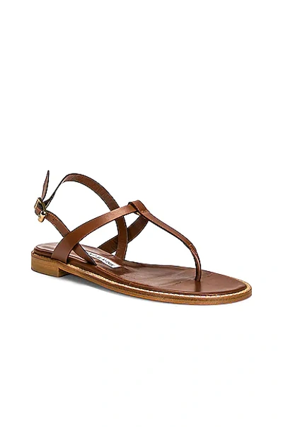 Shop Manolo Blahnik Leather Hata 10 Sandal In Brown