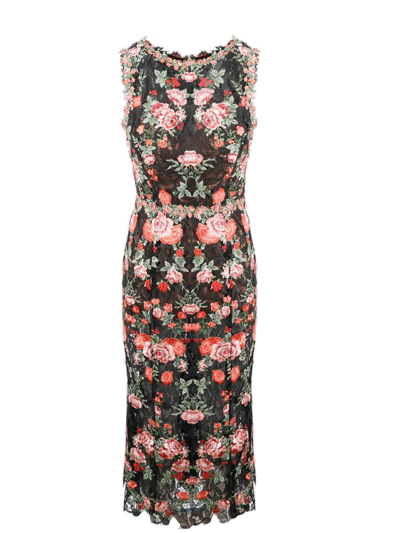 Shop Marchesa Notte Floral Lace In Multi