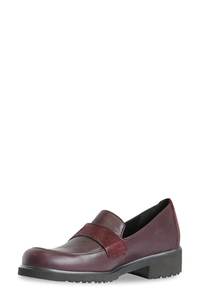 Shop Munro Geena Loafer In Wine Leather