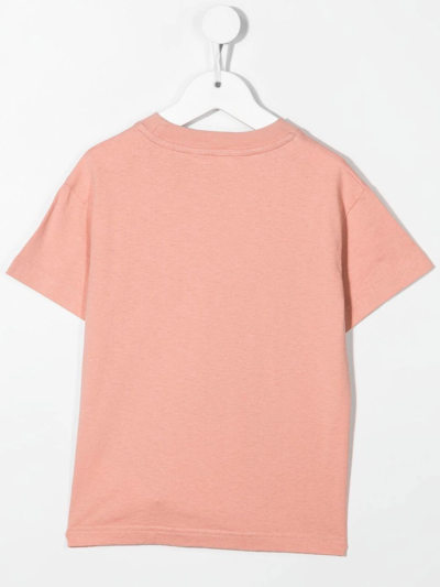 Shop Palm Angels Teddy-print Cotton T-shirt In Pink