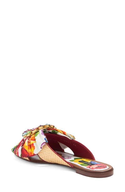 Shop Dolce & Gabbana Embellished Crisscross Slide Sandal In Multi