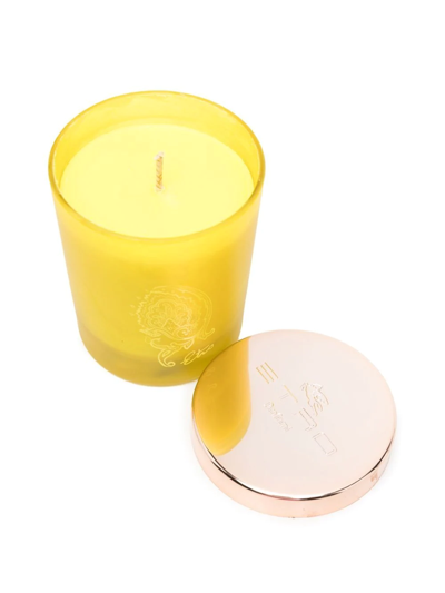 Shop Etro Home Dafne Scented Candle In Gelb