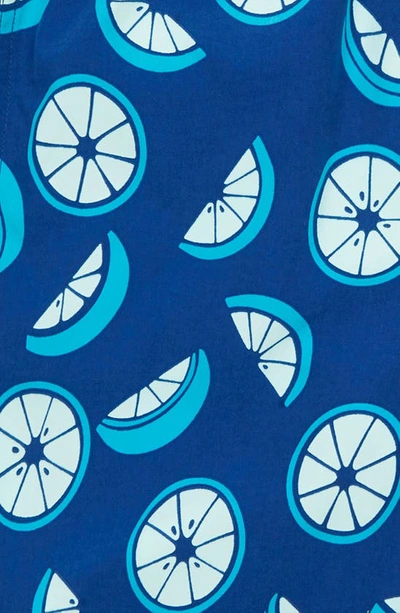 Tom & Teddy Kids' Citrusswim Trunks In Ocean Blue