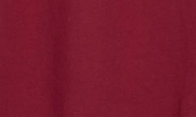 Rainforest Soft Washed Graphic T-shirt In Syrah