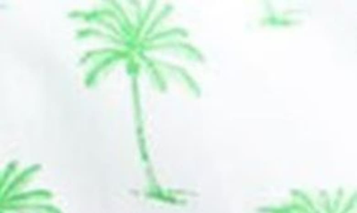 Shop Sant And Abel Palm Tree Print Cotton Pajama Shorts In Green