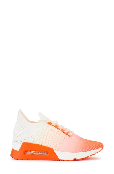Shop Dkny Ashly Sneaker In Orange