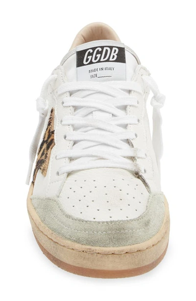 Shop Golden Goose Ball Star Low Top Sneaker In White/ Ice/ Beige Brown Leo