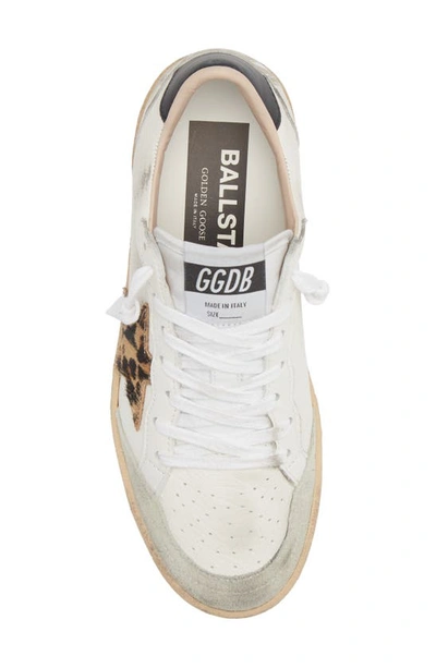 Shop Golden Goose Ball Star Low Top Sneaker In White/ Ice/ Beige Brown Leo
