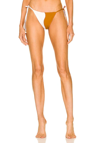 Shop Palm Jade Bikini Bottom In Phoenix & Ivory