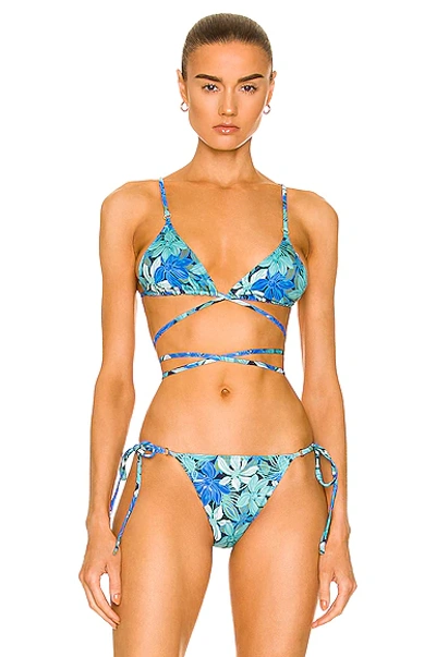 Shop Palm Talise Bikini Top In Aster Blue Print