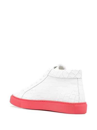Hide & Jack Tosh Crocodile High-top Sneakers In Weiss