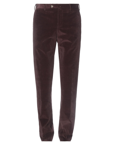 Shop Pt Torino Pants In Cocoa