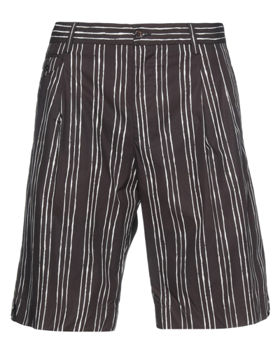 Shop Dolce & Gabbana Man Shorts & Bermuda Shorts Dark Brown Size 28 Cotton