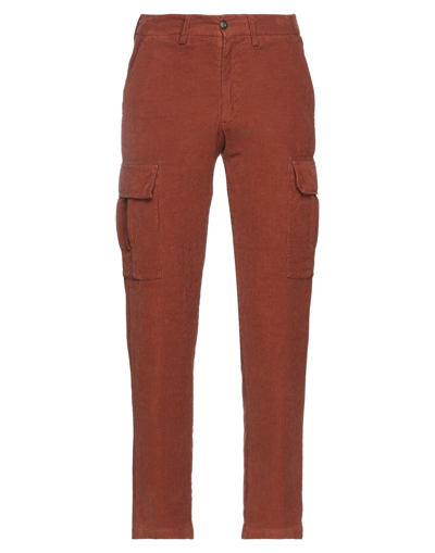 Shop Briglia 1949 Man Pants Brown Size 28 Cotton, Elastane