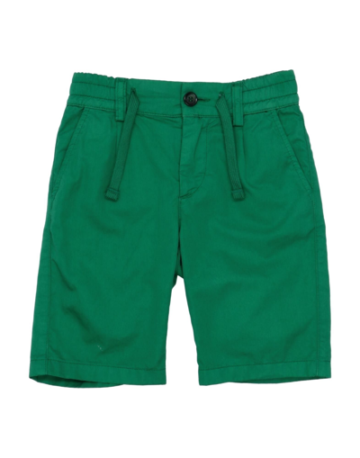 Shop Dolce & Gabbana Man Shorts & Bermuda Shorts Green Size 7 Cotton, Polyester